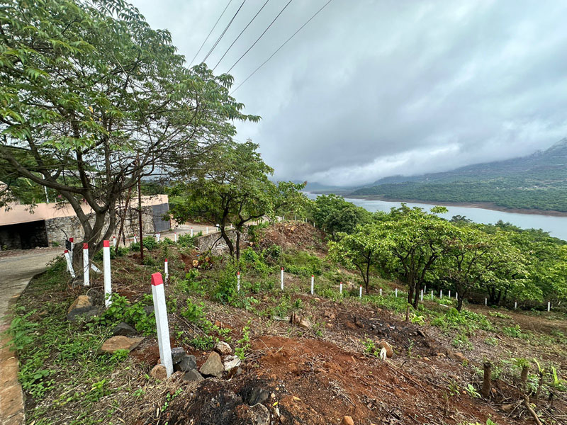 Mountain Lake View project landscape