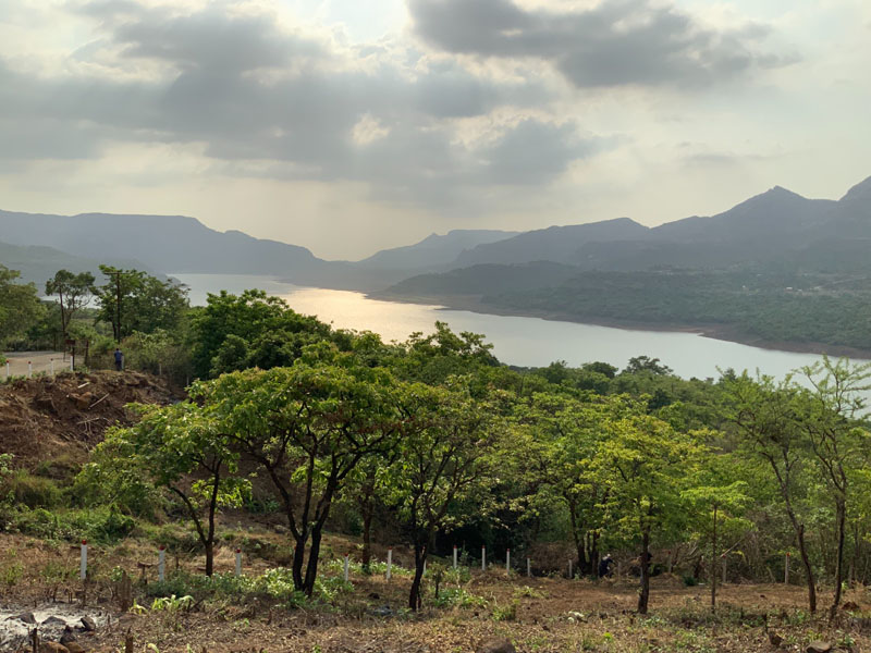 Mountain Lake View project landscape